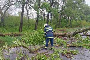 Новини Вінниці / Негода на Вінниччині: Вітер поламав дерева