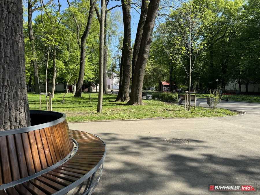 У вінницькому парку імені Леонтовича розцвіли тюльпани - фото 10