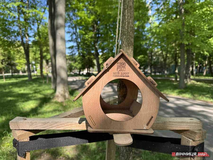 У вінницькому парку імені Леонтовича розцвіли тюльпани - фото 19