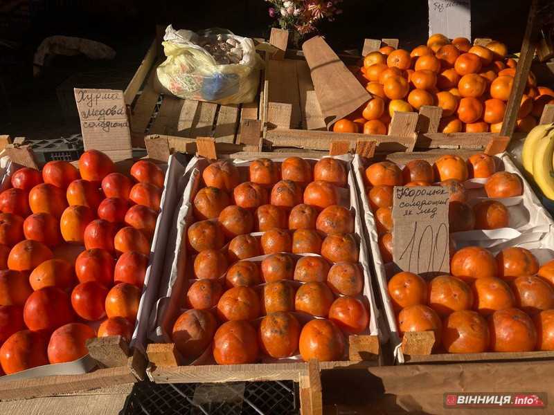 Як змінились ціни за місяць на картоплю, цибулю, буряк, моркву у Вінниці - фото 19