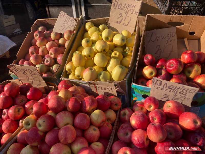 Як змінились ціни за місяць на картоплю, цибулю, буряк, моркву у Вінниці - фото 8