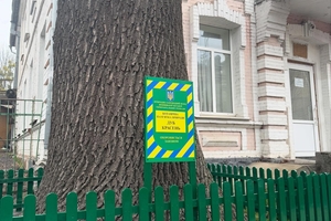 Новини Вінниці / У Вінниці встановилюють таблички та огороджують дерева природоохоронного фонду