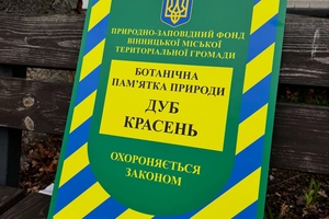 Новини Вінниці / У Вінниці встановилюють таблички та огороджують дерева природоохоронного фонду