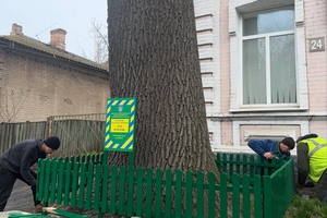 Новини Вінниці / У Вінниці встановилюють таблички та огороджують дерева природоохоронного фонду