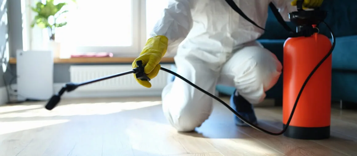 професійна дезінсекція