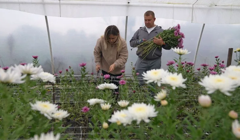 Подружжя Шатайлів зі Сміли