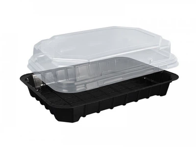 блістерна упаковка для суші