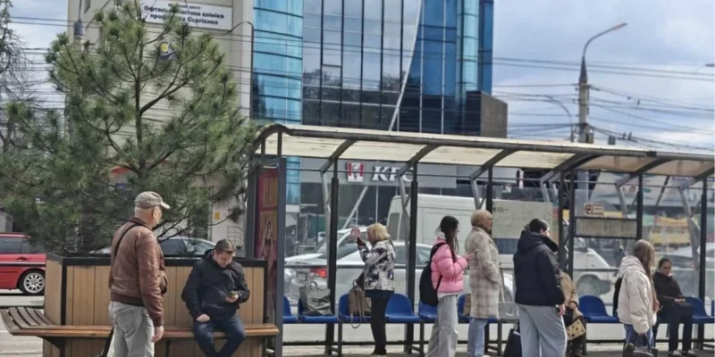 З Майдану Небесної Сотні до «Пироговки»: чому у Вінниці перемістили вуличні кашпо з деревами